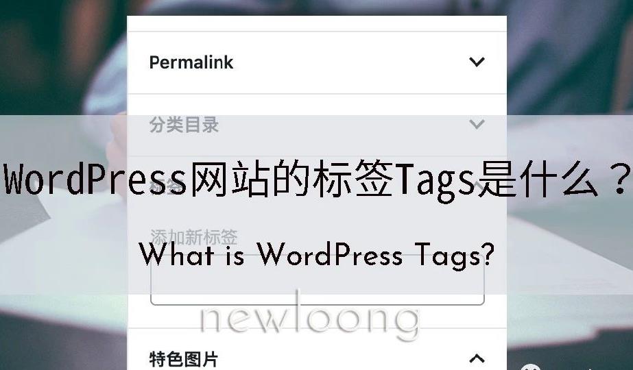 它对SEO有帮助吗？