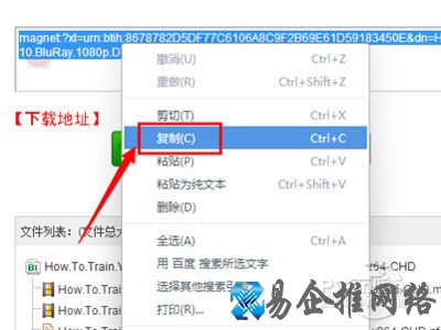 torrentkitty中文网怎么用 torrentkitty中文网怎么用
