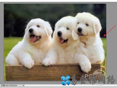 任意打开一张图片