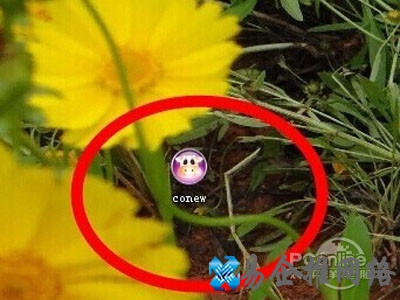 如何用可牛影像制作时尚摇头娃娃 