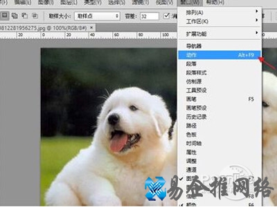 调用已经设计好的动作文件