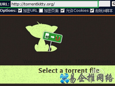 torrentkitty打不开怎么办 torrentkitty打不开怎么办
