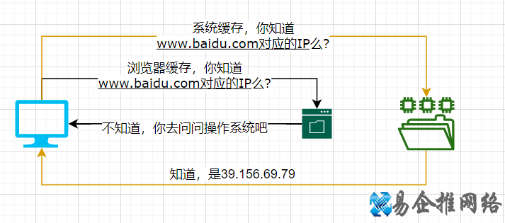什么是DNS域名系统，什么是本地DNS?