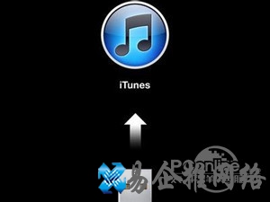 iTunes怎么读