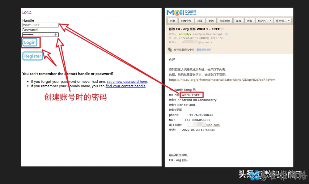 怎么申请免费域名，申请免费域名的方法和流程【图文详解】