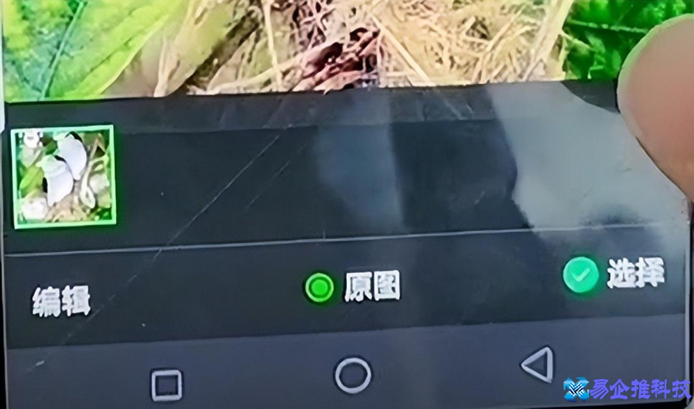 怎么制作图片？怎么制作图片文字