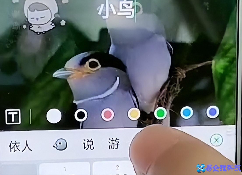 怎么制作图片？怎么制作图片文字