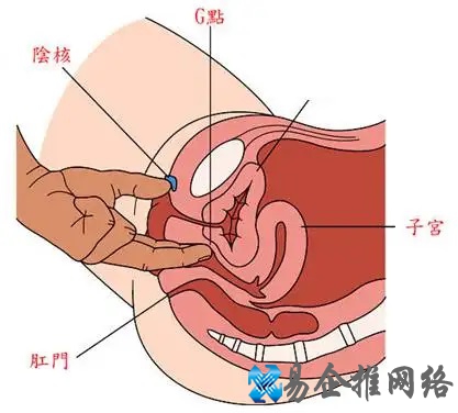 什么是G点,G点位置在哪,怎样寻找女人g点让她达到高潮？