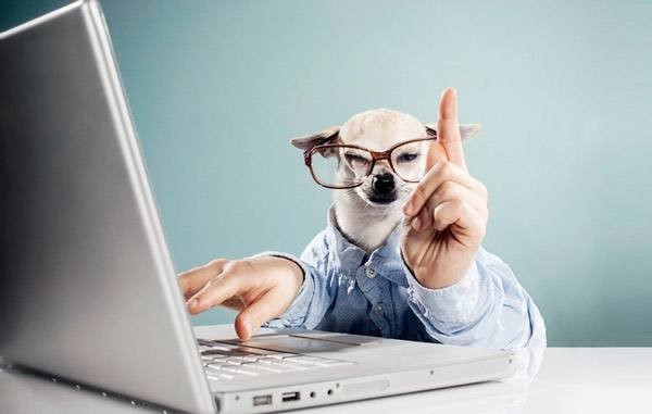 SEO优化入门具备能力详解,seo优化需要的必备技能！