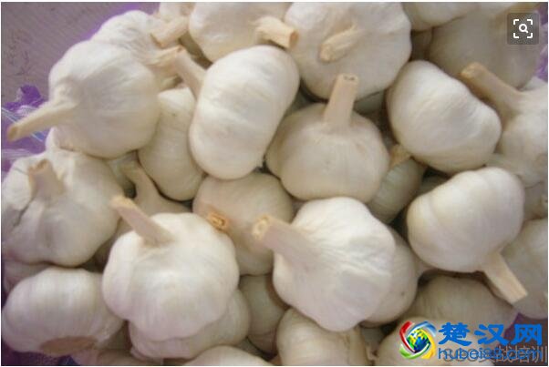 大蒜的功效与作用