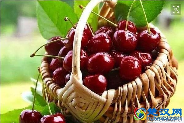 车厘子的功效与作用