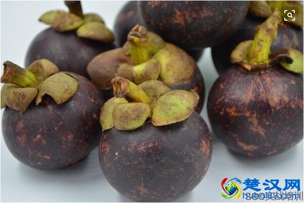 山竹的功效与作用