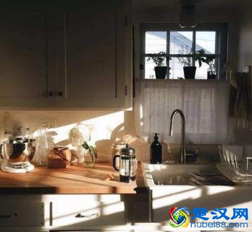 家里蟑螂多怎么办 居家消灭蟑螂有妙招