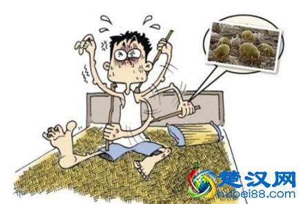 家里有螨虫危害大 清除尘螨的六个小妙招