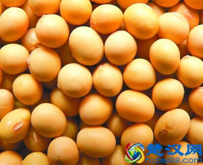 经期丰胸吃什么 6款丰胸食物让你平胸变G奶