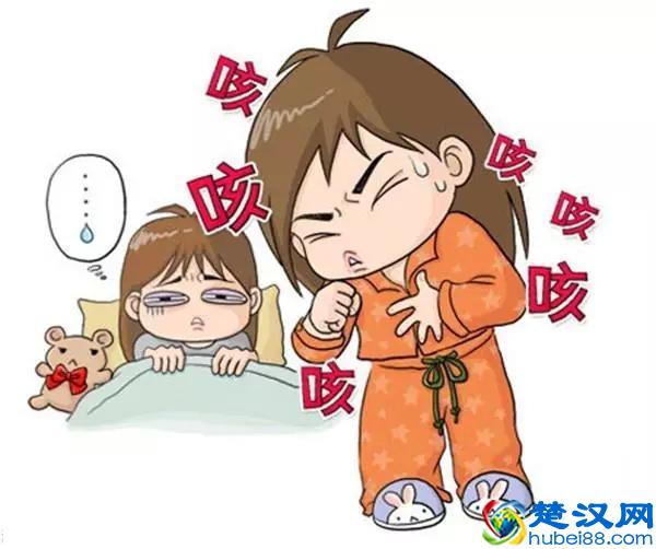 你以为茯苓只能做饼?错!真正的功效你并不知道!