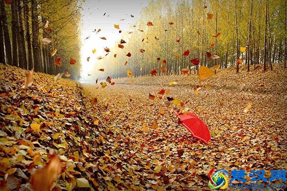 温庭筠精彩的唐诗作品，虽写落魄人生的怀才不遇，却自有一股豪情