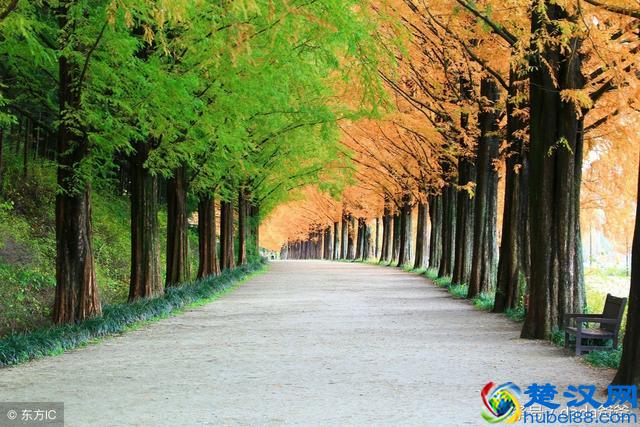 一年好景君须记，最是橙黄橘绿时，描写秋天的古诗词23首！