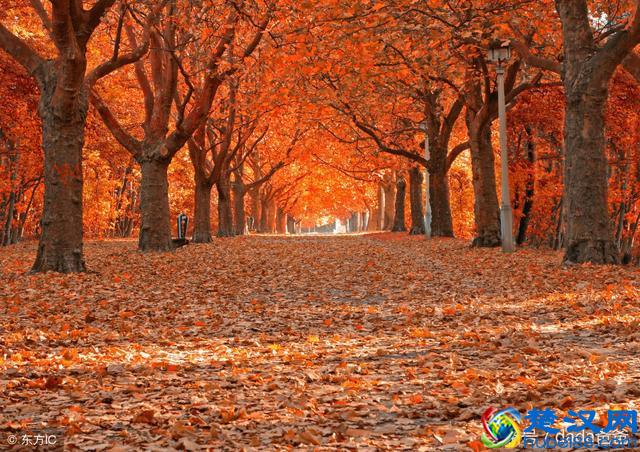 一年好景君须记，最是橙黄橘绿时，描写秋天的古诗词23首！