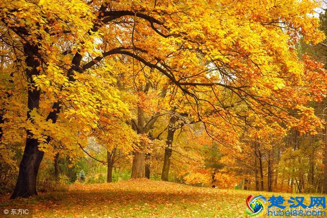 一年好景君须记，最是橙黄橘绿时，描写秋天的古诗词23首！