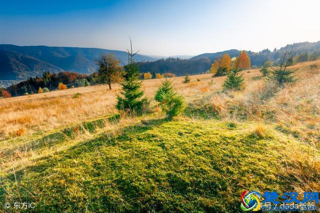 一年好景君须记，最是橙黄橘绿时，描写秋天的古诗词23首！
