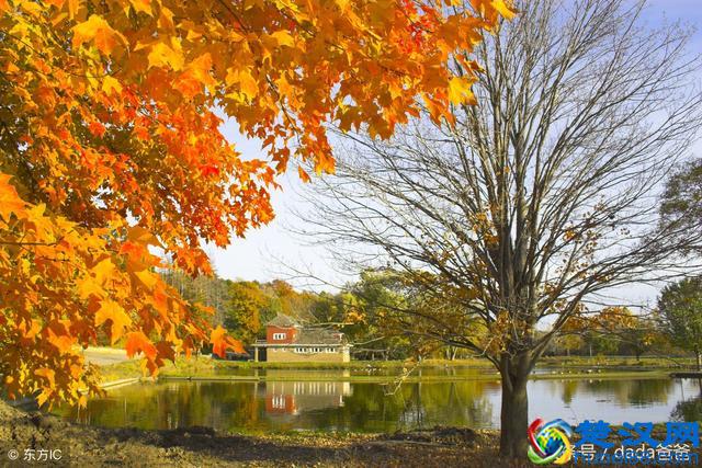 一年好景君须记，最是橙黄橘绿时，描写秋天的古诗词23首！