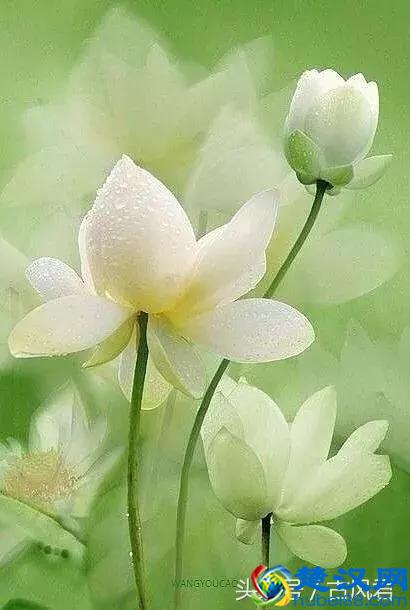 刘禹锡笔下水平最高的十首诗