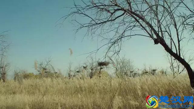 十首最经典的辛弃疾词，百读不厌！