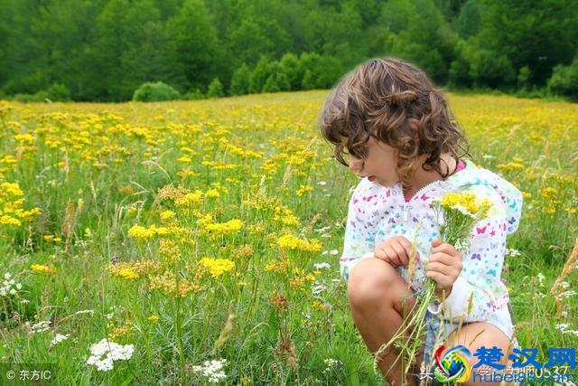 一“叶”知秋:描写秋叶的诗句和精彩句子集萃