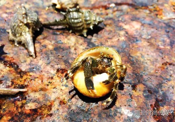 最详细汕头南澳岛旅游攻略，景点美丽极了!