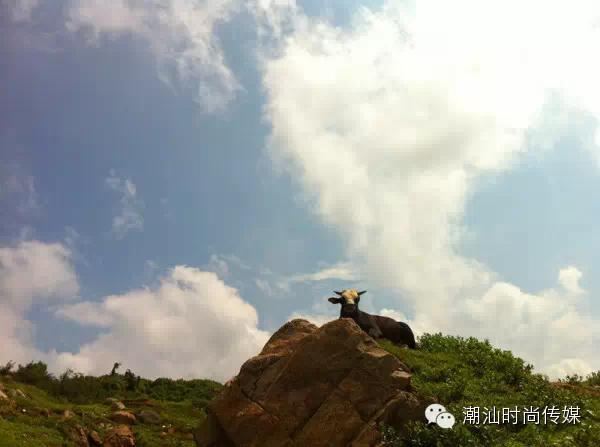 最详细汕头南澳岛旅游攻略，景点美丽极了!