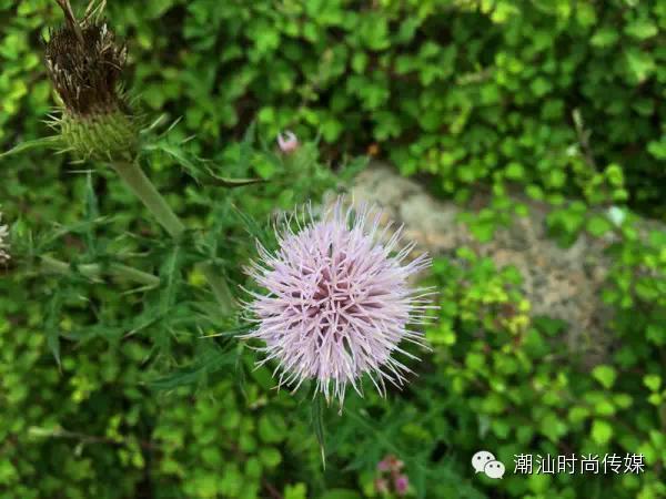 最详细汕头南澳岛旅游攻略，景点美丽极了!