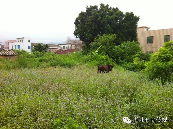最详细汕头南澳岛旅游攻略，景点美丽极了!