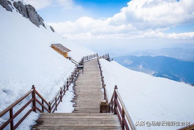 要去丽江玉龙雪山旅游的朋友们可以看看哟