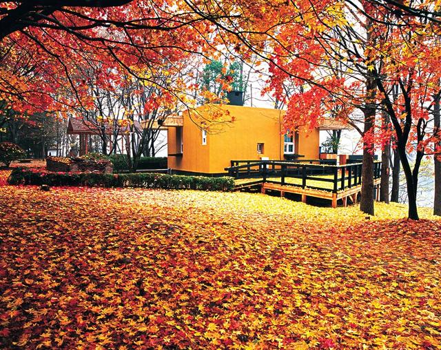 韩国人气最旺8个景点，你都去过了吗？