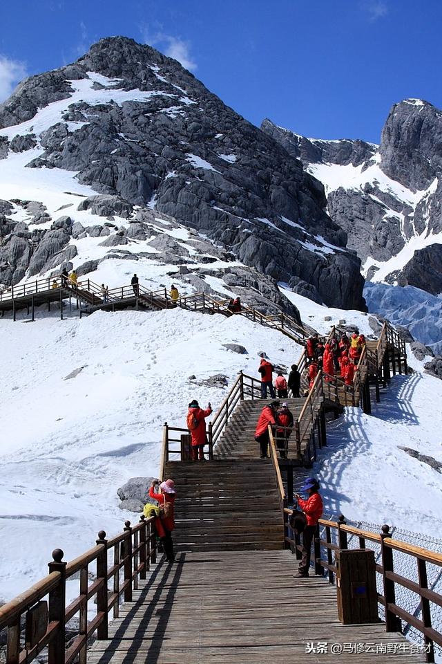 要去丽江玉龙雪山旅游的朋友们可以看看哟
