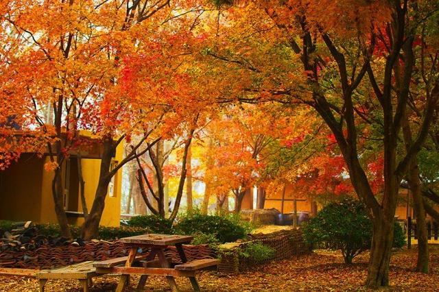 韩国人气最旺8个景点，你都去过了吗？