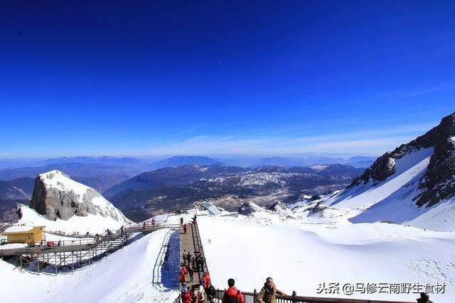 要去丽江玉龙雪山旅游的朋友们可以看看哟