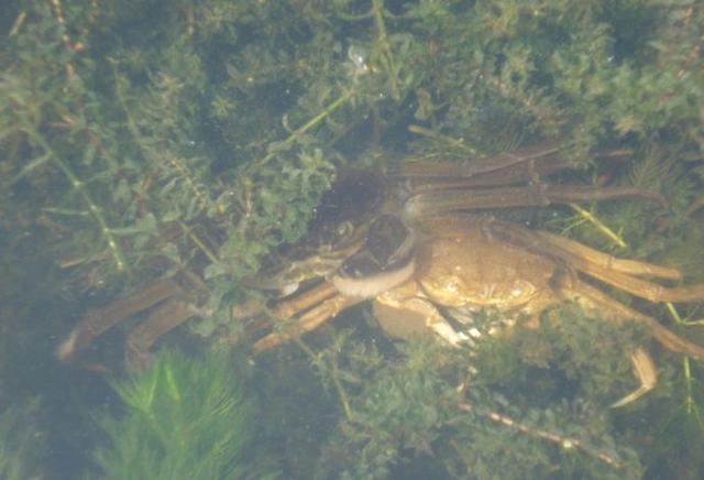 苏州旅游一日游攻略