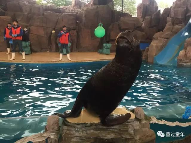 史上最全！常州恐龙园住+玩攻略！不管是不是恐龙迷，看完都想去