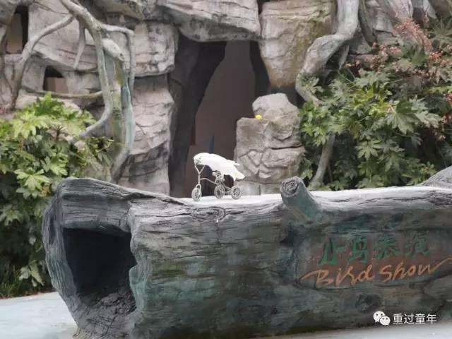 史上最全！常州恐龙园住+玩攻略！不管是不是恐龙迷，看完都想去