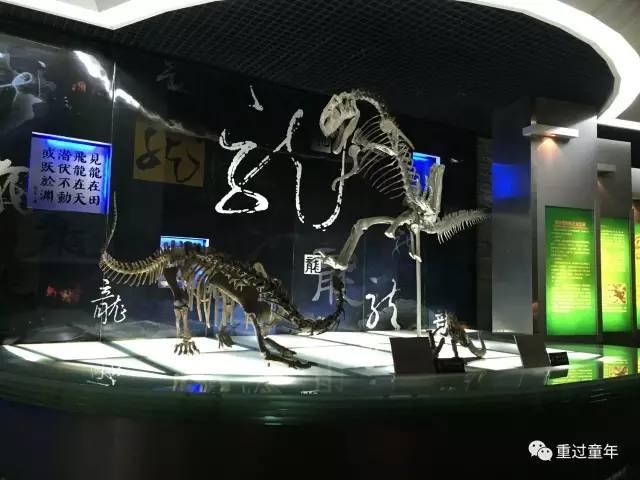 史上最全！常州恐龙园住+玩攻略！不管是不是恐龙迷，看完都想去