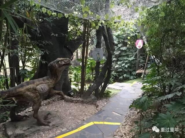 史上最全！常州恐龙园住+玩攻略！不管是不是恐龙迷，看完都想去