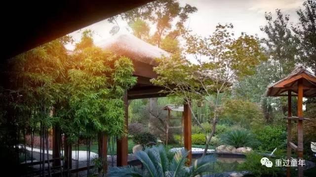 史上最全！常州恐龙园住+玩攻略！不管是不是恐龙迷，看完都想去