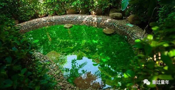 史上最全！常州恐龙园住+玩攻略！不管是不是恐龙迷，看完都想去