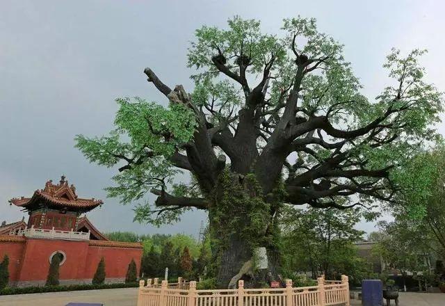 山西十大旅游景点，山西旅游不可错过的旅游胜地