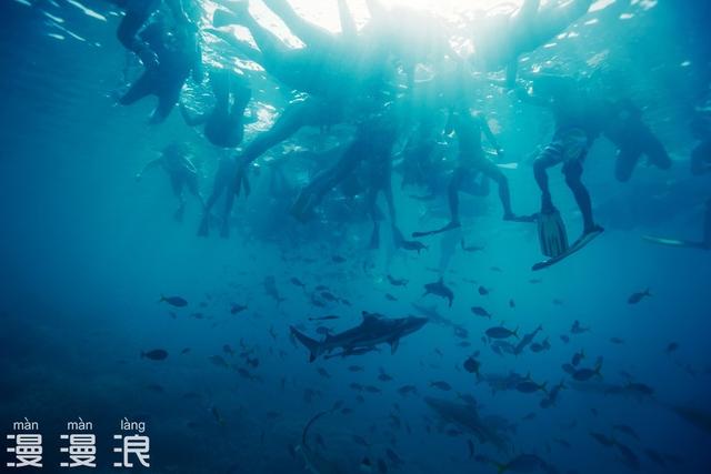 帕劳归来，五天四晚旅游攻略！