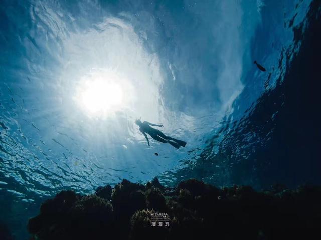 帕劳归来，五天四晚旅游攻略！