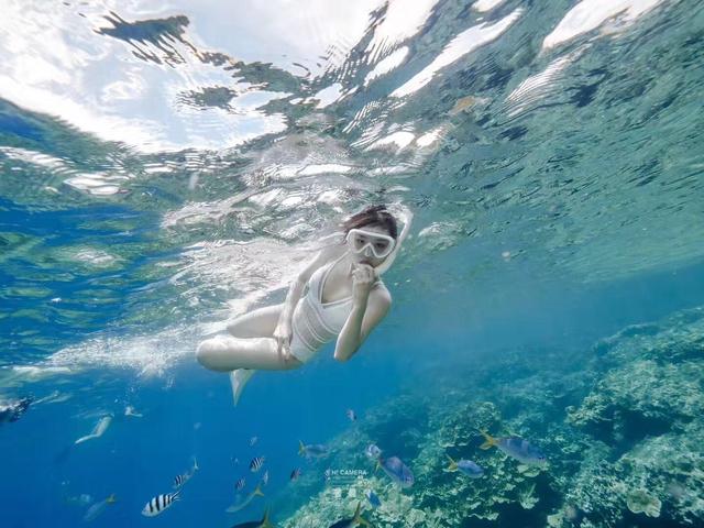 帕劳归来，五天四晚旅游攻略！