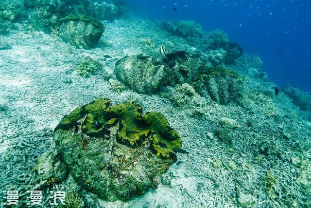 帕劳归来，五天四晚旅游攻略！